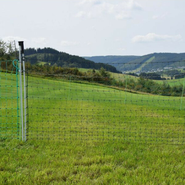 Weidetor »Euronetz« für Elektrozäune · 3m breit 2 Spitzen, 112cm