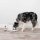 Hundetrainer »PetSafe Teach & Treat« mit Fernsteuerung · 27m