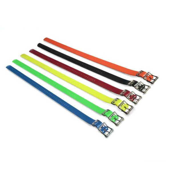 Hundehalsbänder »sportDOG« ab 20cm Hals · 2,5cm breit, grün