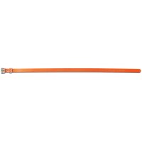 Hunde Halsband »sportDOG« ab 20cm Hals · 1,9cm breit, orange