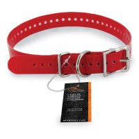 Hundehalsband »sportDOG« ab 20cm Hals · 2,5cm breit, rot