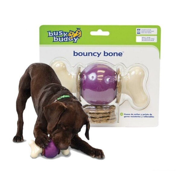 Hunde Kauspielzeug »Bouncy Bone« PetSafe Kauspaß · XL