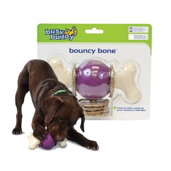 Hunde Kauspielzeug »Bouncy Bone« PetSafe Kauspaß · S