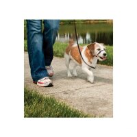 Hundeleinen »Easy Walk« für Beagle, Sheltie · max 11kg, schwarz