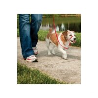 Hundeleine &raquo;Easy Walk&laquo; f&uuml;r Sheltie, Beagle &middot; max 11kg, rot