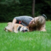 Ferntrainer &raquo;Basic&laquo; PetSafe Hundeerziehung &middot; 100m, ab 3,6kg