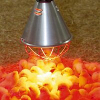 Alulampe »Classic« für Infrarotbirnen, Rotlichtlampe · 5m