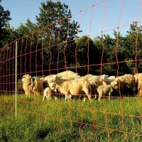 Schafnetz »Euronetz« mit Wildverbissschutz · 50m 2 Spitzen, 90cm