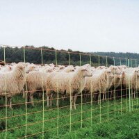 Schafnetz »Euronetz« mit Wildverbissschutz · 50m 2 Spitzen, 90cm